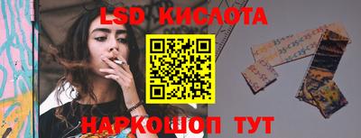 индика Обь