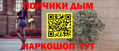 индика Обь