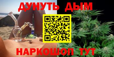 индика Обь