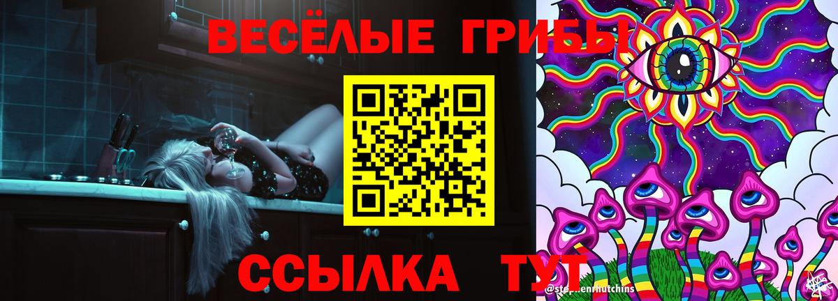 Галлюциногенные грибы мухоморы  Псилоцибиновые грибы мухоморы  Сланцы  Вход с VPN 